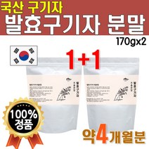 더블 구성 국내산 발효 구기자 가루 2개 약 4개월분 분말 고농축 물에 타 먹는 차 마시는 물대신 카페인없는 명절 선물 세트 추석 식품 부모님 선물 고급 프리미엄 어르신 70대