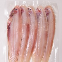 반건조 박대 서대 26-37cm 5-10마리 위생건조 진공포장 박대구이, 대 29~31cm, 5개