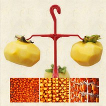 LW 곶감걸이 곶감만들기 가을 수제곶감 DIY곶감, 감자쌀롱 E곶감걸이 1P