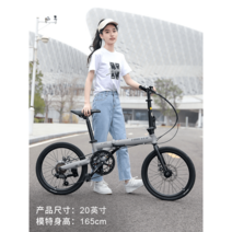 바이클 2인용 바이크 로드 접이식자전거 접이식 접이식바이크 자전거사이트 자전거수리 자전거정비 바이크, 7단 20인치 알루미늄 랙 케이블 디스크 그레, 20 인치