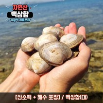 백상합 상합 백합 생합 백생합 조개탕 조개찜, 2kg, 백상합(대), 1개