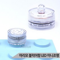 브랜드없음 마리모 블럭어항 LED 미니조명 3종 DIY 소형 전구, 화이트조명