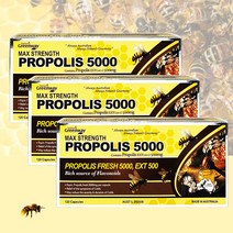 네이쳐스그린웨이 프로폴리스 5000 호주산 프로폴리스 원액 120캡슐 호주 프리미엄 고함량, 3개(23%할인+고급사은품), 3개, 120정