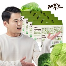 JEJU 제주 양배추브로콜리진액 기타건강즙, 100ml, 120입