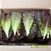 [프레시팜] 엽채류 쌈채소 적로메인 2kg 내외