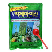 억제마이신 500g 차인산칼슘 비료 웃자람 방지 도장 억제제+전용스푼증정, 1개