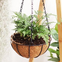 코코넛 걸이 화분 공중식물 넝쿨식물 베란다 5size, S(20cm)