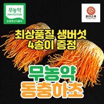 국내산 무농약 현미 동충하초 생초 5팩 (500~600g), 1박스, 500g