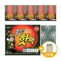 위니스트 충성핫팩 대용량 휴대용손난로 군인 국산 방한용품, 충성핫팩 (30개입) 사은품