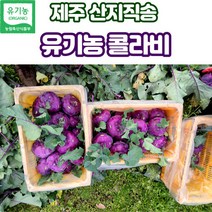 산지직송 제주 유기농 콜라비 3kg 5kg 10kg, 유기농콜라비_10kg