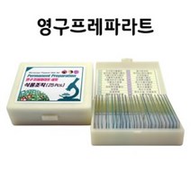 초등과학 식물세포 현미경표본 키트 미세구조 연구실 표분 실험준비물 영구 생물체