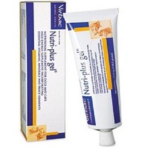 버박 뉴트리플러스겔 영양제 120.5g 강아지 애견 애견애묘, 단품, 상세페이지 참조