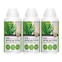 내츄럴플러스 에버핏 알로에겔 슬림 다이어트 1000ml 3개 1개월분, 1000ml 3병