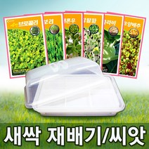 새싹 재배기 (대)/씨앗 28종/식물 재배기/채소재배기/수경재배기, 29. 새싹 재배기 추가, 새싹 재배기 [특대]