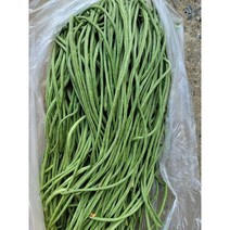 줄콩 동남아시아채소 생줄콩 롱빈 껍질콩 초록줄콩, 줄콩 500g
