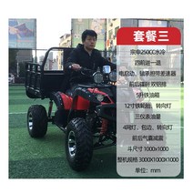 ATV 4륜 오토바이 전동 농업용 짐수레 전동차, 250cc