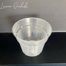 호접란 화분 투명 플라스틱 통기 화분 (대형) 10개