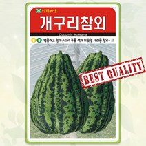 개구리참외 씨앗 50립 과일 참외 종자 씨 봄 여름 가을 참외씨 AR