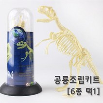 공룡뼈 화석 모형 조립 피규어 장식품 교구 방과후 연구 관찰 과학 수업 실험 학습 초등 돌봄, 티라노사우루스