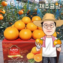 귤왕 농장 직배송 제주 하우스 천혜향 2kg 3kg 5kg 가정용 명절 설 선물세트, 천혜향 가정용 중소과 3kg