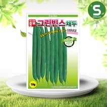 솔림텃밭몰 채두씨앗 10g 그린빈스 채두 풋강낭콩 콩씨앗 비덩굴, 단품