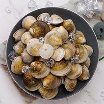 [바지락총각] 해감완료 활모시조개1kg X 2팩, 모시조개1kgX2팩