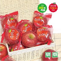 GAP 저탄소인증 당도선별 세척사과 꼬꼬마4kg(22~25개입) 껍질째먹는사과/BFK