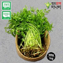 [무농약] 청도 한재 미나리 500g / 한재미나리민가네 / 본토지기