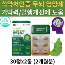 (현이) 식약처 인증 혈행엔 징코 은행잎추출물 두뇌 뇌 혈관 건강 기억력 혈행 개선 에 좋은 도움을 주는 플라보놀배당체 영양제 부모님 어르신 건강 식품 선물 추천 GINKGO, 2통