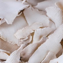 국산 말린 백복령(편) 600gX2 차 봉령 복령 백봉령 건조 건 한방, 1RHZ_국산 백복령(편) 600gX2