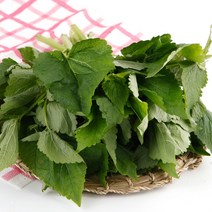 김해 향긋한 생방아잎 1kg 나물 산지직송, 단품