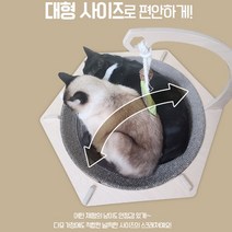 고양이 오목한스크래쳐 원목 캣보울 고양이발톱긁개