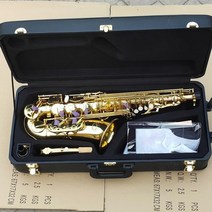 관악기 jupiter jas-669 new arrival 알토 eb tune 색소폰 금관 악기 골드 래커 색소폰 케이스 마우스피스, 연한 초록색, 연한 초록색