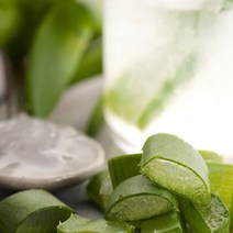 천연미네랄샤워샴푸재료-옵션선택, 알로에베라겔100g