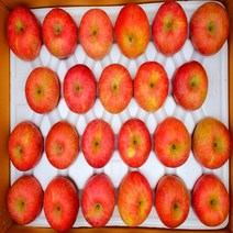[고운사과]청송사과 꿀 사과 22년 꼬마(한입)사과, 1box, 5kg 22~25과