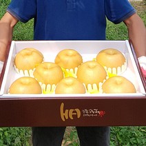 산지직송 명품 나주배 7.5kg 11~13과, 단품없음