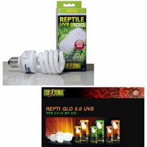 5 애완용품점 파충류 5.0UV등 25W 반려동물신용카드, 상세페이지 참조