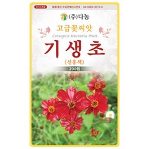 대엽 민들레 1000립 - 야생화 씨앗 꽃씨 씨 꽃씨앗 야생화씨앗 고급꽃씨 고급꽃씨앗 민들레씨 민들레씨앗, 01_다농_기생초(선홍색)(200립)