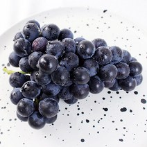 새콤달콤 캠벨 포도 특품, 1kg(2-3송이)