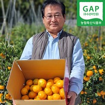 팔도명인 제주 천혜향 레드향 벌크, 레드향(한정수량), 명품 벌크박스 10kg