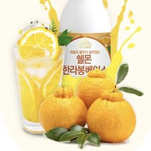 홈카페 한라봉 원액 1KG 귤 오렌지