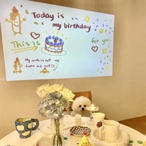 생일 축하 문구 미니빔 파티 배경 꾸미기 현수막 홀로그램 인스타 포토존 만들기 파티용 홈파티 용품 촬영 소품 제작 데코 조명 파티커튼, 사각 레인보우 프로젝터(배터리)