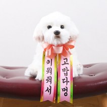 갓샵 인간화환 당일발송ver 소형 [졸업 결혼식 생일 인간 화한 화환 문구], 소형 5. 상태A급/하자없음 / 중고나라 관리
