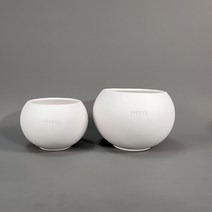 화이트 토분 모음, 진주