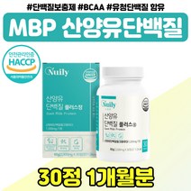 네덜란드 산양유 우유 단백질 시니어 할머니 선물 식약처인증 수입 프로틴 엠비피 BCA 정 어르신 여성 WPI 보충제 산양 단백 분말 어른 분유 30대 40대 남성 장모님 장인어른, 산양유단백질 정제 x1통