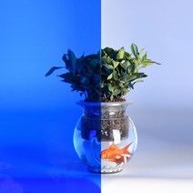 불투명 투시 스티커 반투명 거울 창틀 가림막 안방 시트지 유리 시트지 침실, 30x100cm, 푸른 색