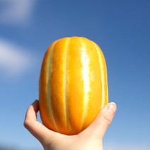 산지직송 성주 명품참외 정품 가정용 선물용 못난이 고당도 꿀참외 2kg 3kg 5kg, 2.5kg 못난이 6-15과