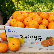 [KT알파쇼핑][제주愛귤] 제주향기 가득담은 카라향 2kg/15~25과