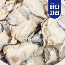 통영 산지직송 당일손질 생굴 300g 800g 2kg 깐굴 석화 통영굴 돌굴 냉동굴, 생굴 깐굴 800g