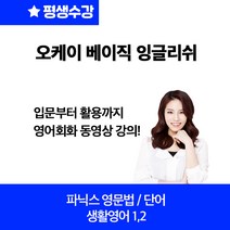 베이직 잉글리쉬 입문부터 활용까지 영어회화 동영상강의
